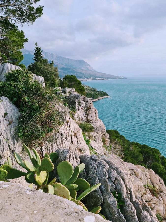 Apartment Ivona With Beautiful Seaview Makarska Buitenkant foto